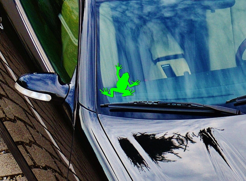 Frog Sticker | Largest Animal Bumper Sticker_driver_clothing_drivi.store