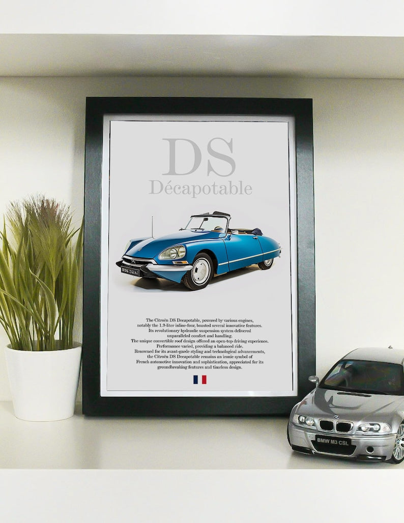 Citroen DS Classic French Car Poster